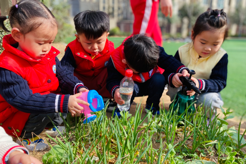 我和小树共成长——冯特西悦城幼儿园植树节主题活动